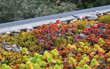 the cost of Connahs Quay green roof installation